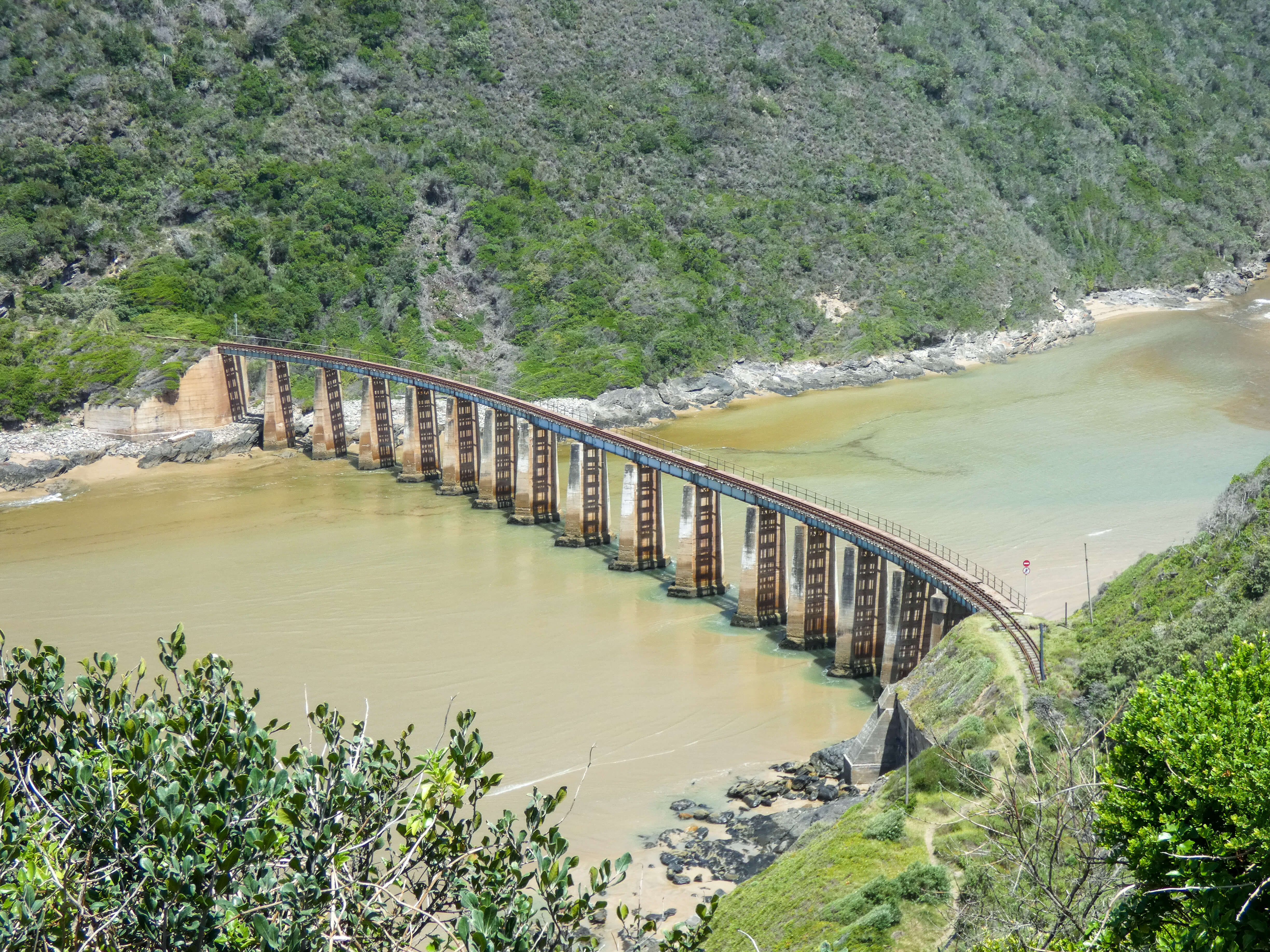 Bridge in Wilderness